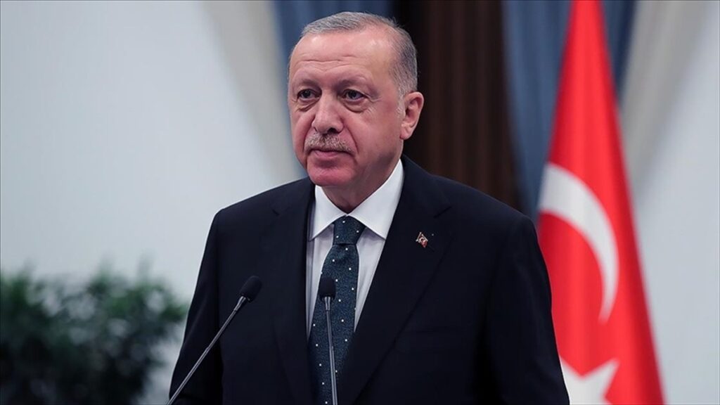 Cumhurbaşkanı Erdoğan: Selin etkili olduğu bölgelerde devlet tüm imkanlarıyla seferber oldu