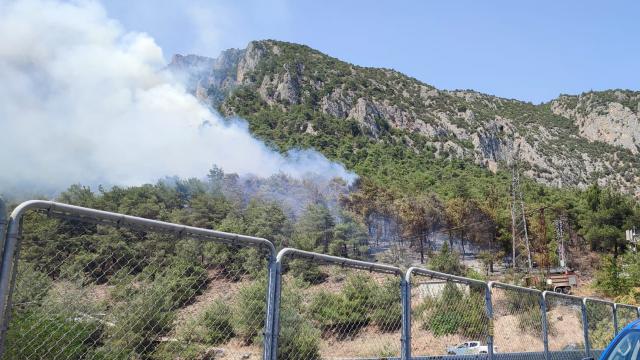 Bilecik’te orman yangını