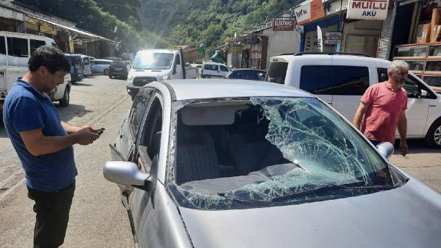 Trabzon’da yaylada ayı park halindeki otomobile zarar verdi