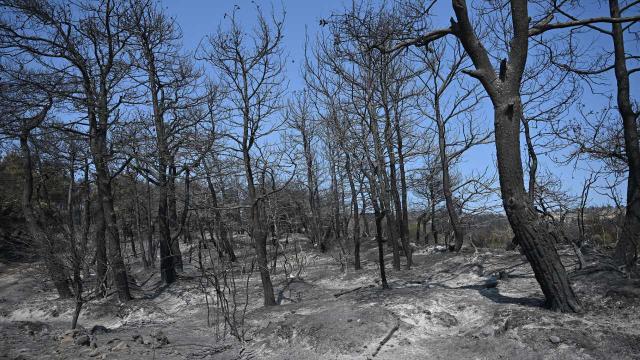 Çanakkale’deki orman yangını nedeniyle 1428 kişi tedbir amaçlı tahliye edildi