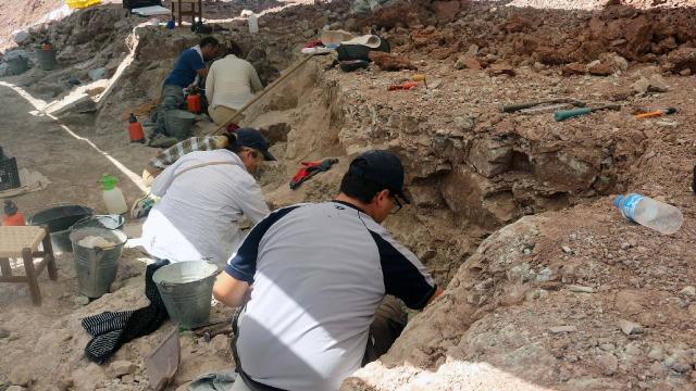 Çankırı’da bu yıl 8,5 milyon yıllık 100 fosil bulundu