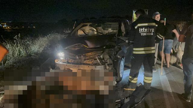 Tekirdağ’da otomobil sürüye çarptı: 10 koyun telef oldu
