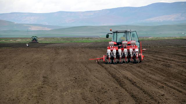 Pancar üreticilerine ödemeler bugün yapılacak