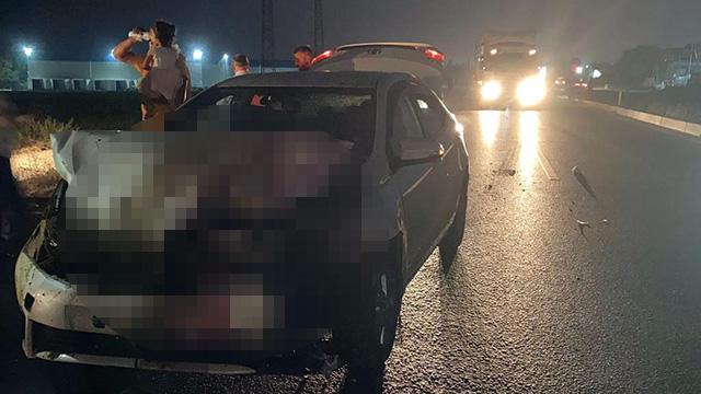 Adana’da otomobil sürüye çarptı: Çok sayıda koyun telef oldu