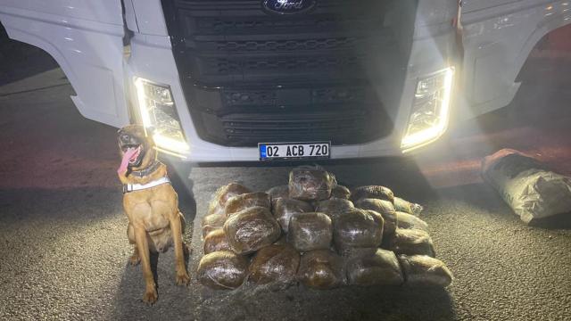 Tahıl yüklü tırdan sentetik uyuşturucu çıktı