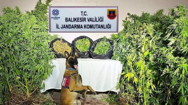 Balıkesir’de organize suç operasyonu: 36 gözaltı