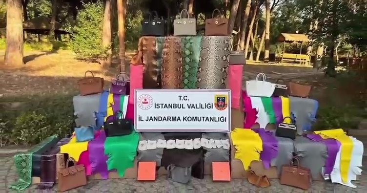 Afrika’dan getirilen yabani hayvan derileri ele geçirildi