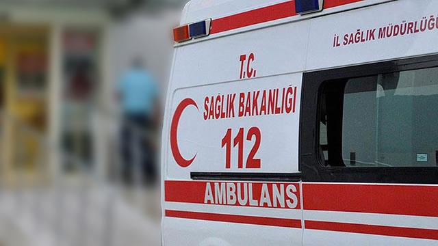 Kastamonu’da ayı saldırısına uğrayan kişi ağır yaralandı