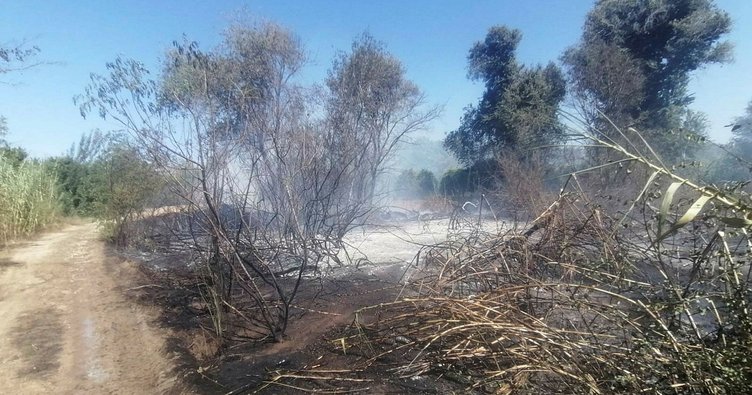 Antalya’da sazlık alanda çıkan yangın söndürüldü