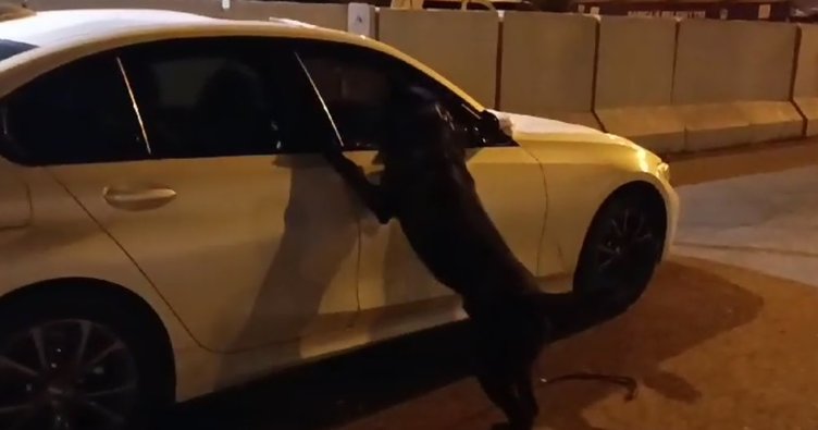 Esrarla yakalandılar birbirlerini suçladılar