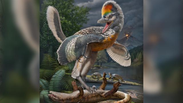 Çin’de uzun bacaklı kuş benzeri dinozor fosili bulundu