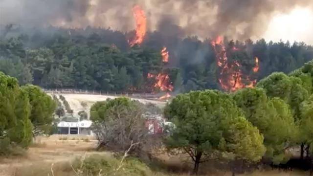 İzmir’de orman yangını