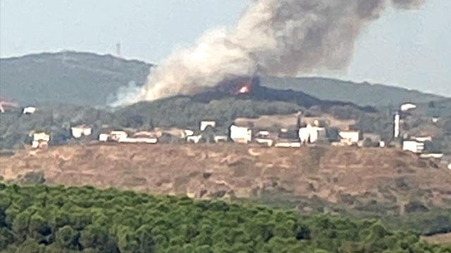 Kocaeli’de orman yangını