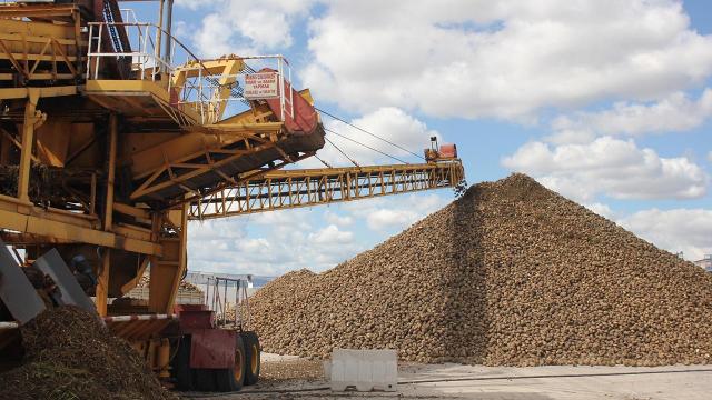 Pancar üreticisine 728 milyon TL’lik avans ödemesi bugün yapılıyor