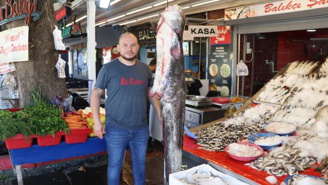 Amasya’da 55 kiloluk yayın balığı tutuldu