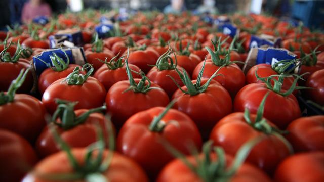 Yaş meyve sebzeden 2,3 milyar dolarlık ihracat