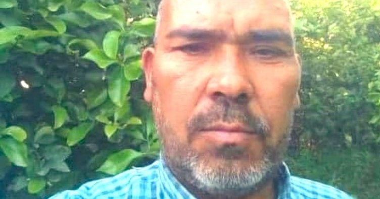 Mersin’de arıların saldırısına uğrayan çiftçi hayatını kaybetti