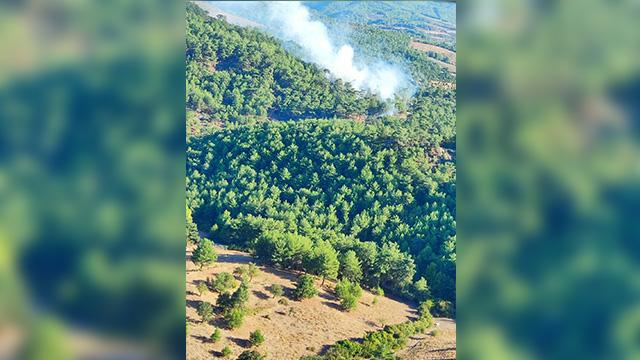 Çanakkale’de orman yangını: Müdahale sürüyor